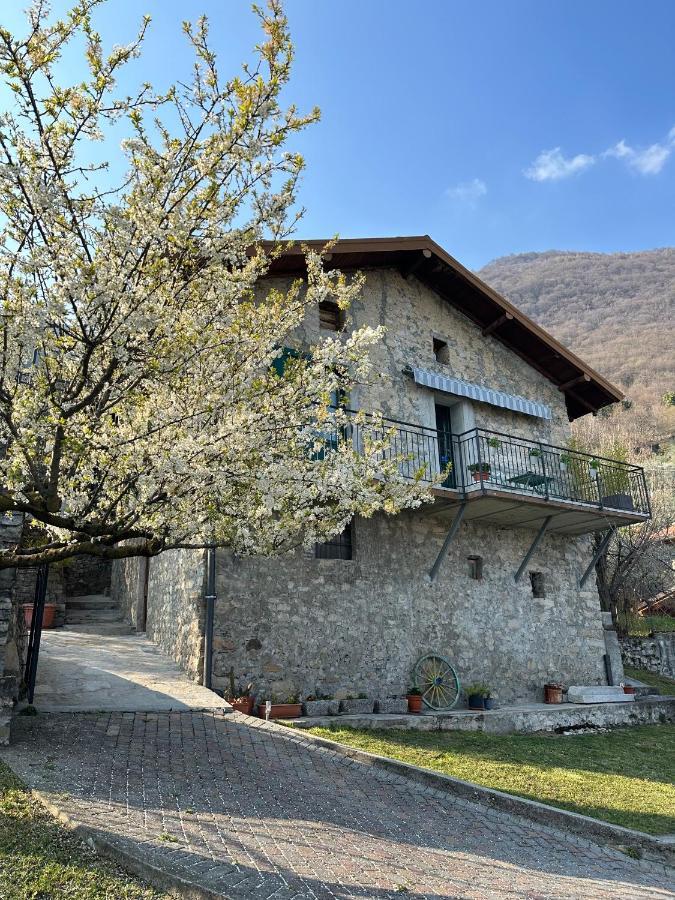 Greenlake House Tremezzina تريميتْسّو المظهر الخارجي الصورة